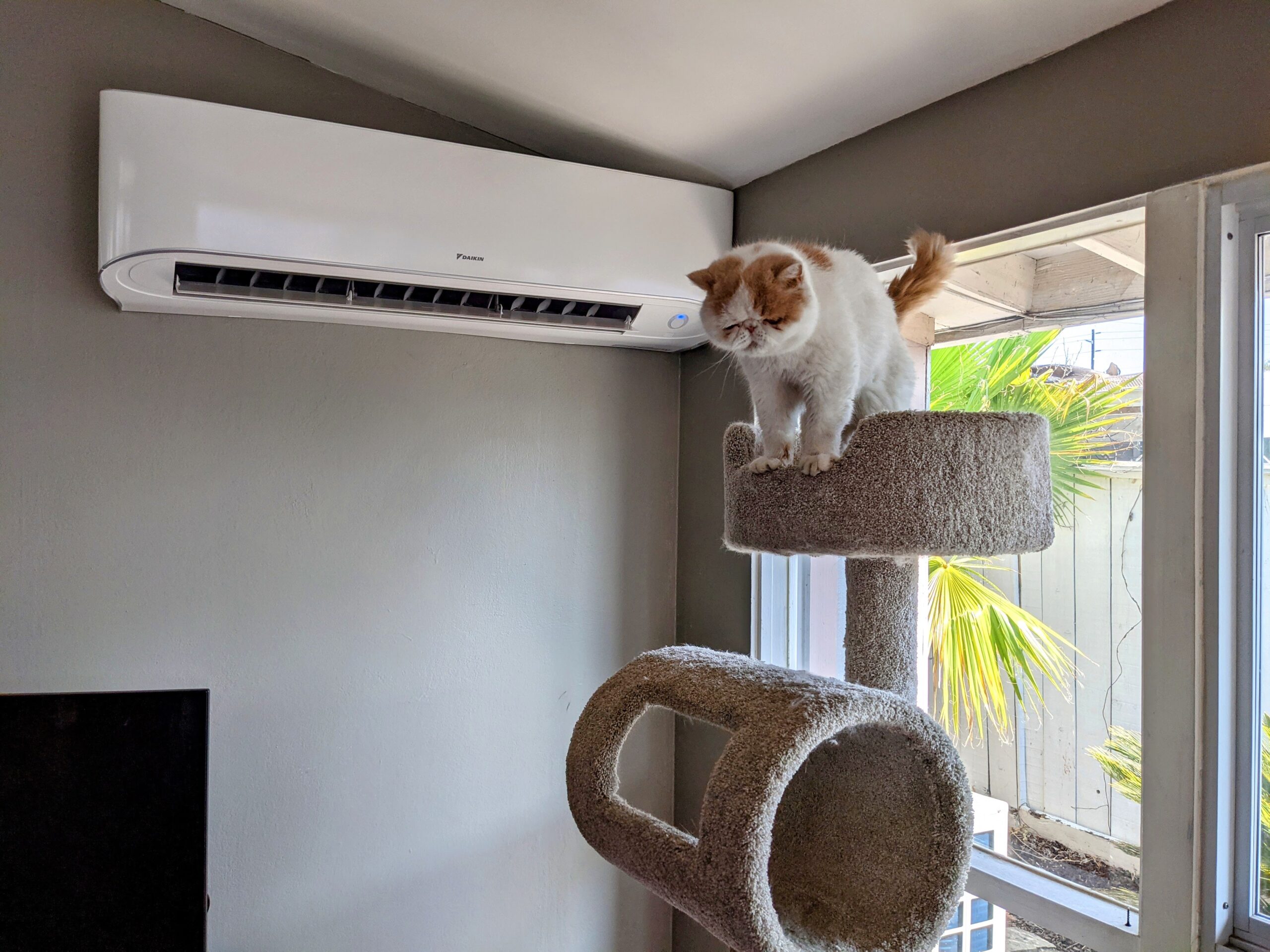 Mini-split AC unit installed by Accord Air in San Diego, with a white cat sitting on the stand.